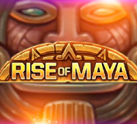 Rise of Maya